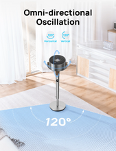 Load image into Gallery viewer, TurboPoly™ Fan 502S - DREO