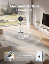 Load image into Gallery viewer, TurboPoly™ Fan 508S - DREO