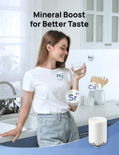 Load image into Gallery viewer, Post Carbon Filter for Water Filter WF511 - CA - DREO