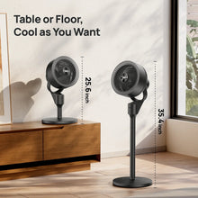 Load image into Gallery viewer, TurboPoly™ Fan 301 - DREO
