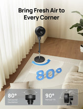 Load image into Gallery viewer, TurboPoly™ Fan 306 - DREO